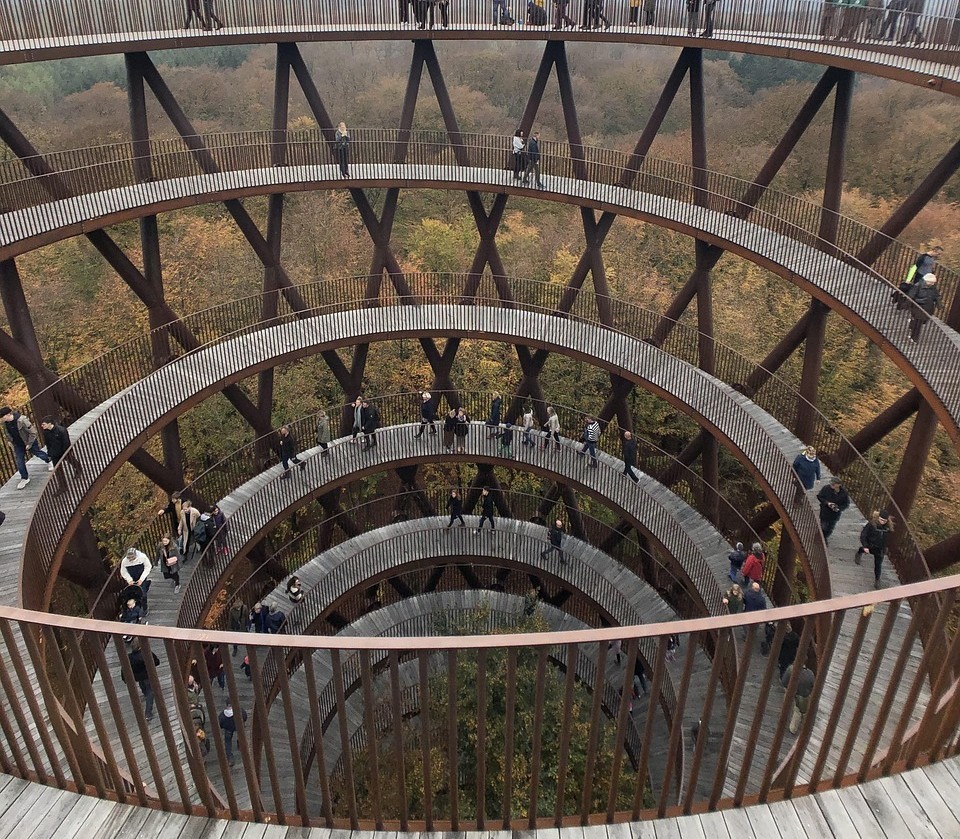 skovtarnet-5050648_1280